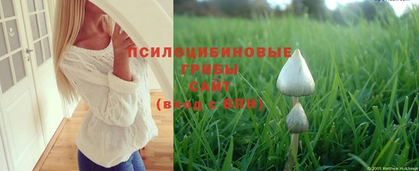 jwh Алексин