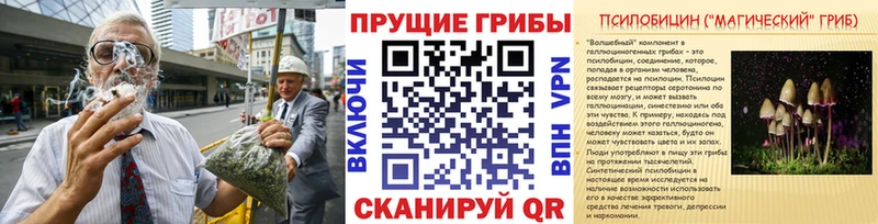 Псилоцибиновые грибы GOLDEN TEACHER Туймазы